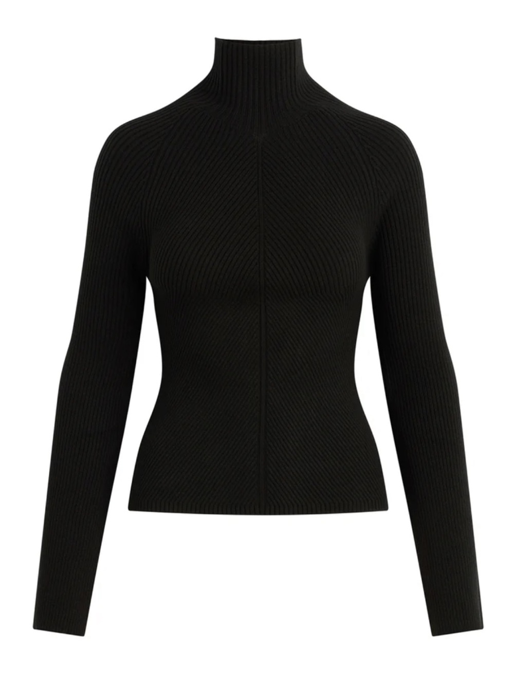 NWT Joe’s Jeans The Palmer Turtleneck in Black